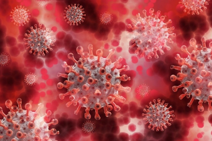 588 са новодиагностицираните с коронавирусна инфекция лица у нас