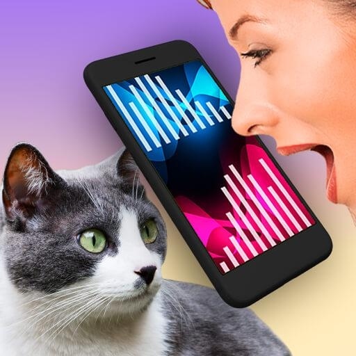 Иновативно приложение превежда езика на котките