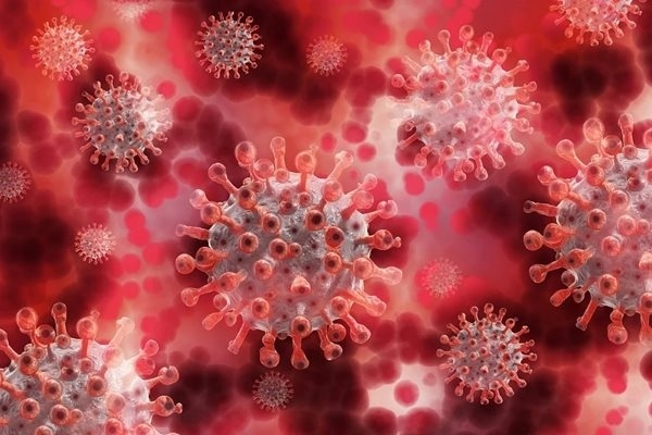 60 нови случая на коронавирус у нас