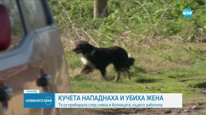 Евтанизираха кучетата, разкъсали жена в Долна Оряховица, арест за гледача им