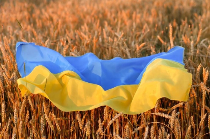 Полша свиква среща на страните, страдащи от вноса на украинско зърно