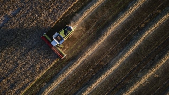Украйна ще съди Полша, Унгария и Словакия заради забраната за внос на селскостопанска продукция