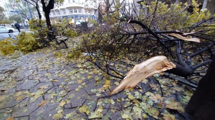 4-ти ден след снежната буря тротоари в центъра на София още са отрупани с изпочупени клони