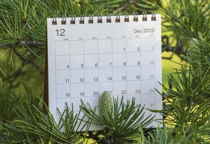 Календар 2023/2024: Кои дни ще почиваме по Коледа и Нова година, идеи за отпуска