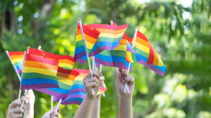 Първи присъди в Русия за ЛГБТ екстремизъм