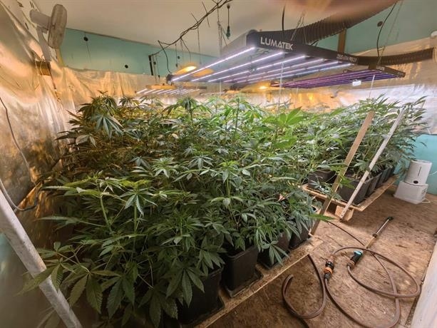 ​Криминалисти от ОДМВР- Варна откриха оранжерии за отглеждане на марихуана