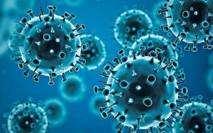 9 са новите случаи на коронавирус у нас